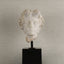 Decorative Marble Female Bust with Black Marble 2