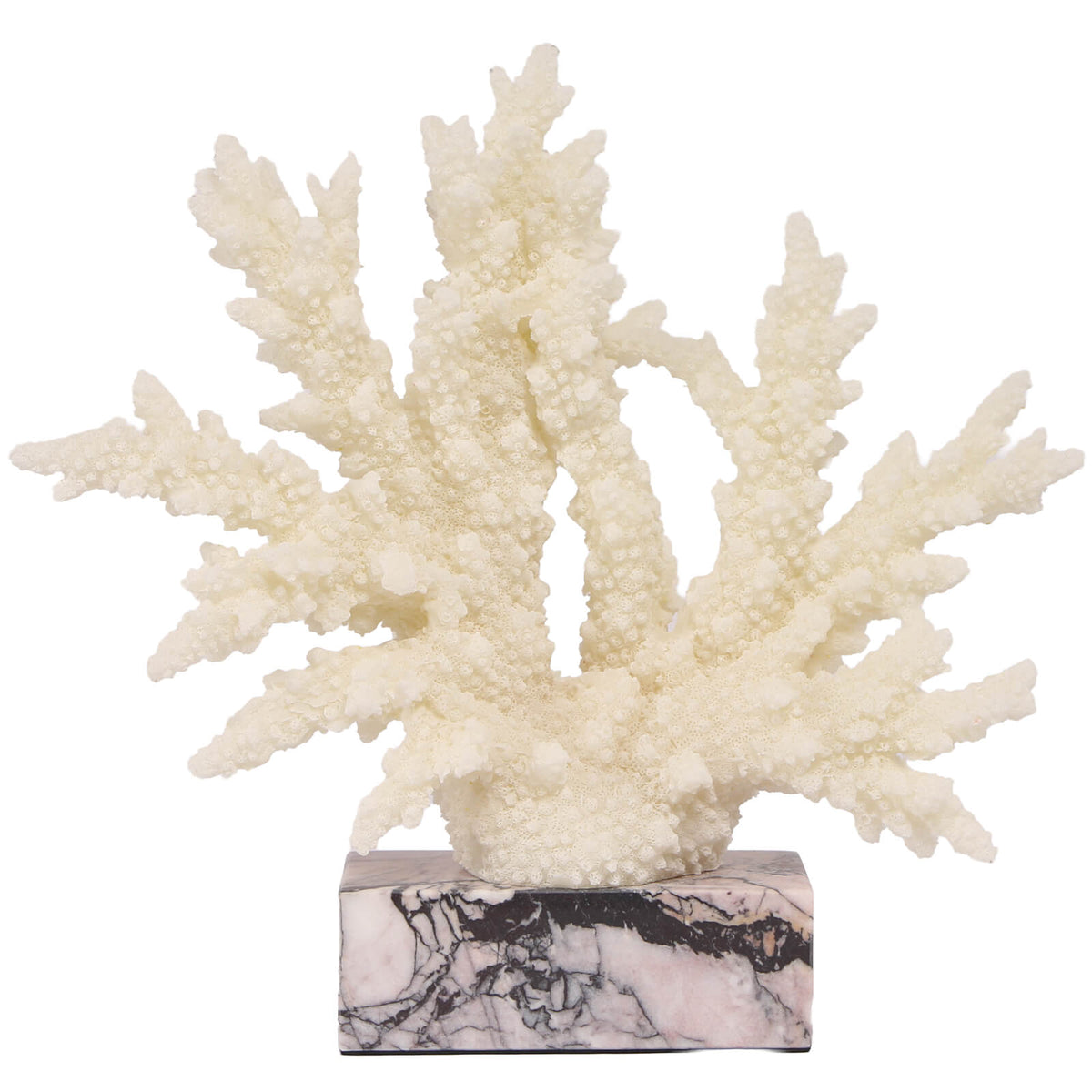Raize Coral Sculpture