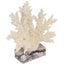 Raize Coral Sculpture