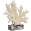 Raize Coral Sculpture