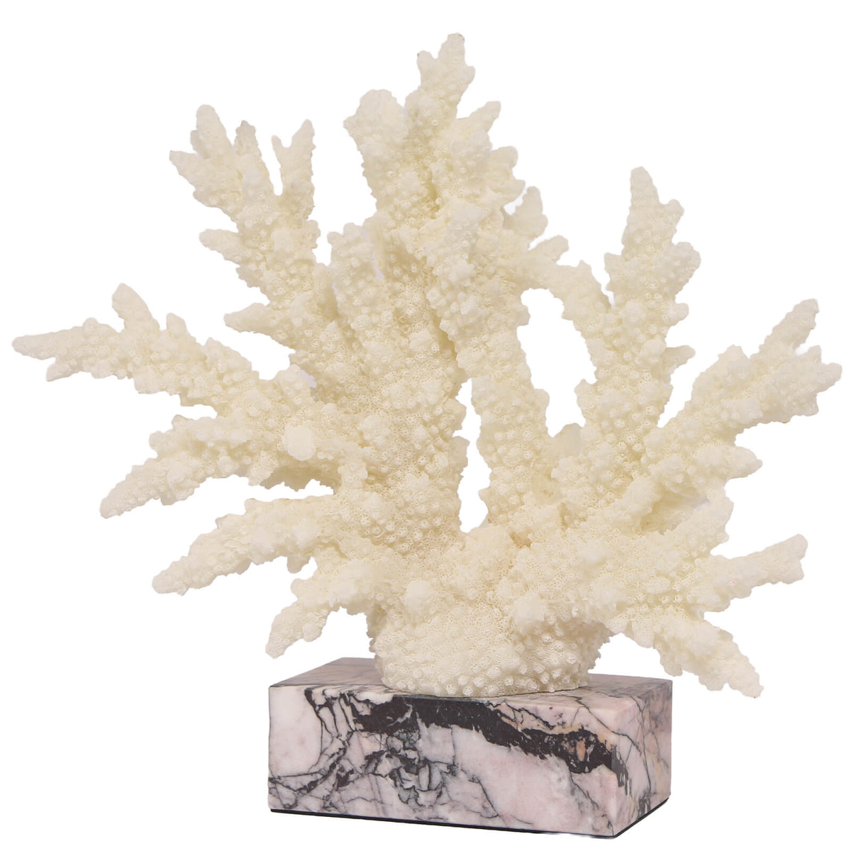 Raize Coral Sculpture