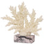Raize Coral Sculpture