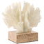 Maris Coral Ornament