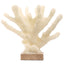 Pearline Coral Ornament