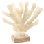 Pearline Coral Ornament