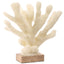 Pearline Coral Ornament