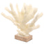 Pearline Coral Ornament