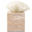 Luma Coral Ornament