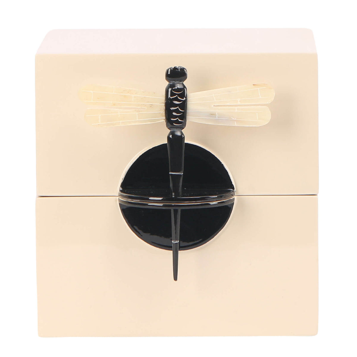 Lacquer Hinged Decorative Box - Small