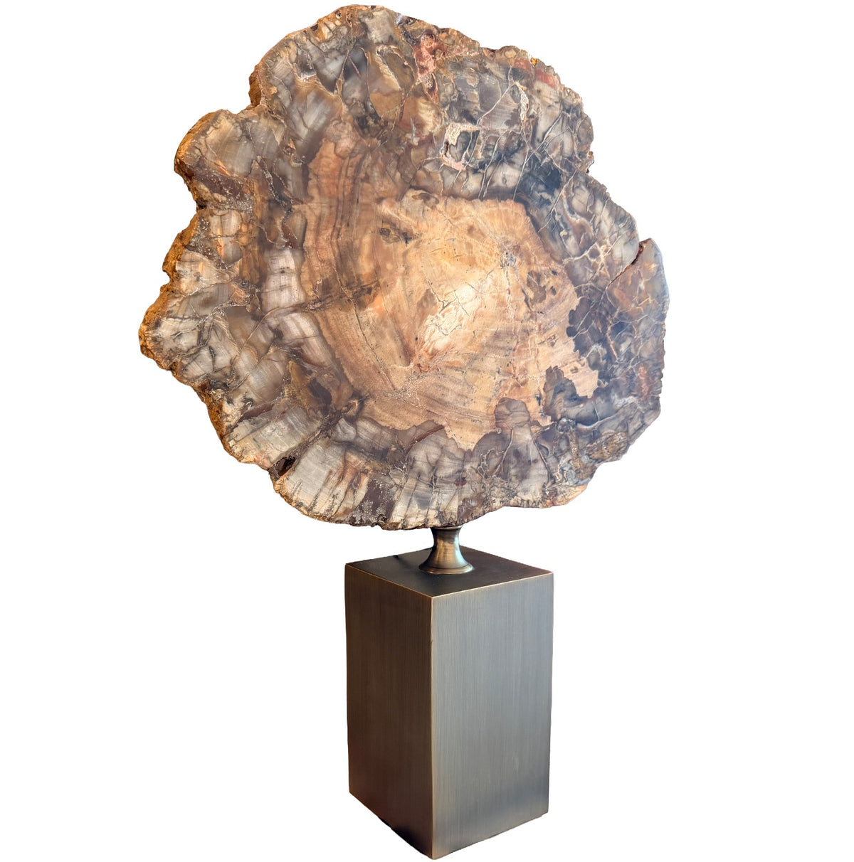 Ivor Petrified Wood Sculpture