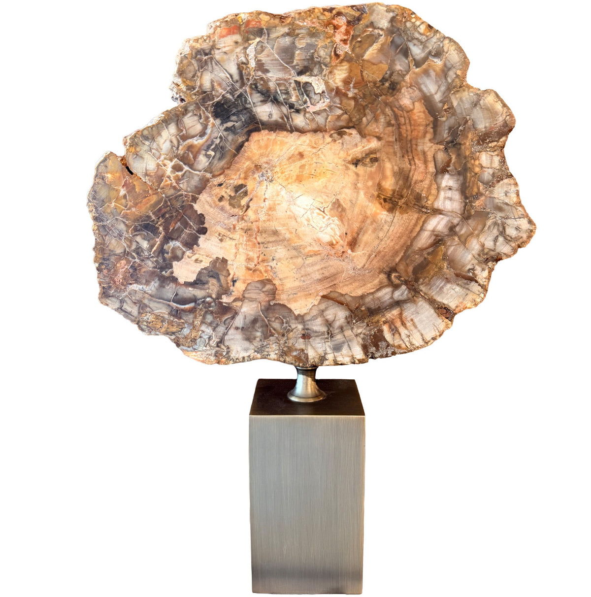 Ivor Petrified Wood Sculpture