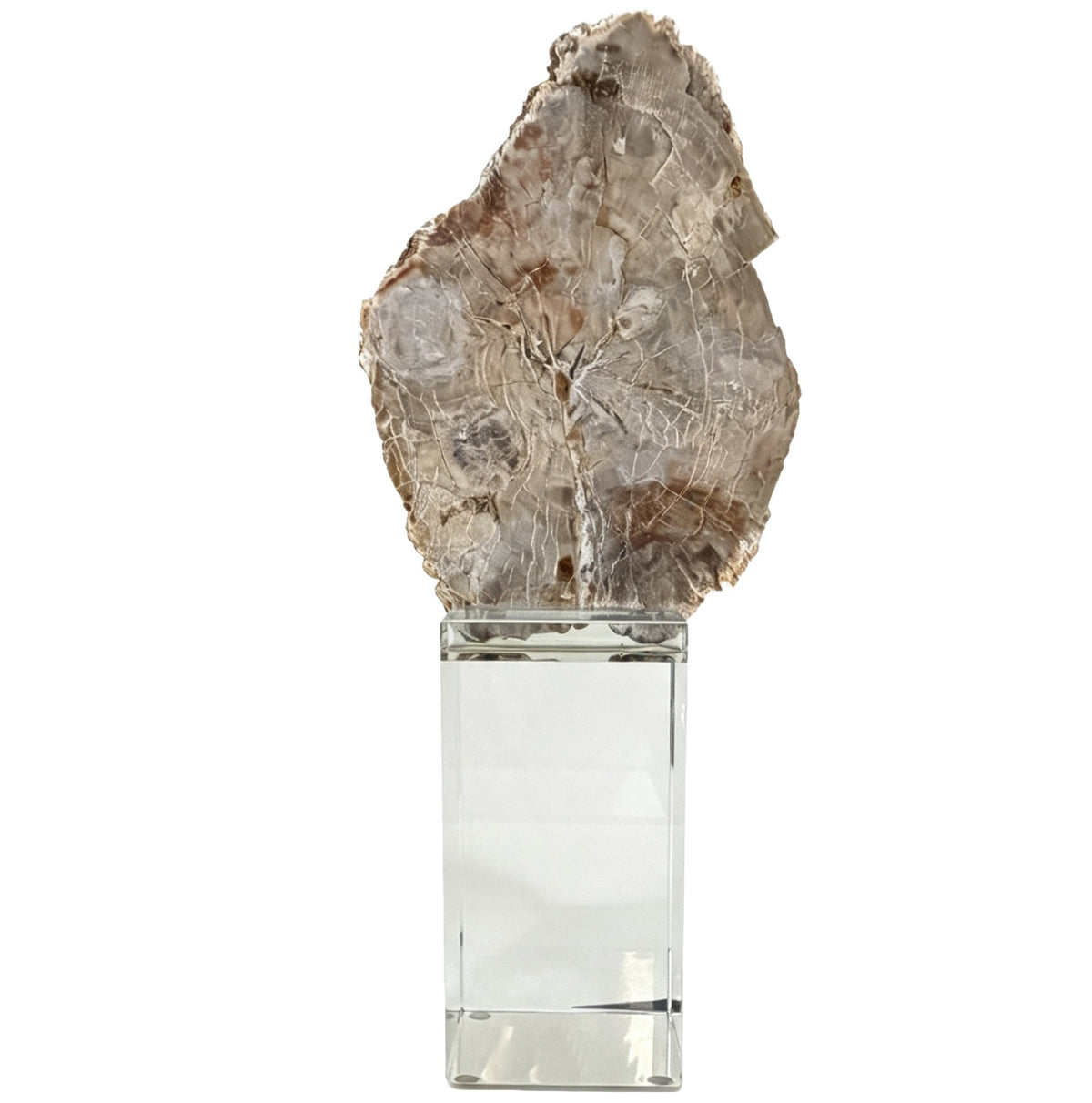 Bram Petrified Wood Sculpture - Large