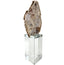 Bram Petrified Wood Sculpture - Large