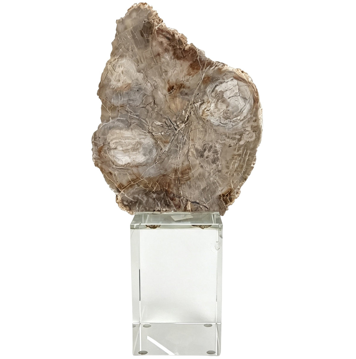 Bram Petrified Wood Sculpture - Medium