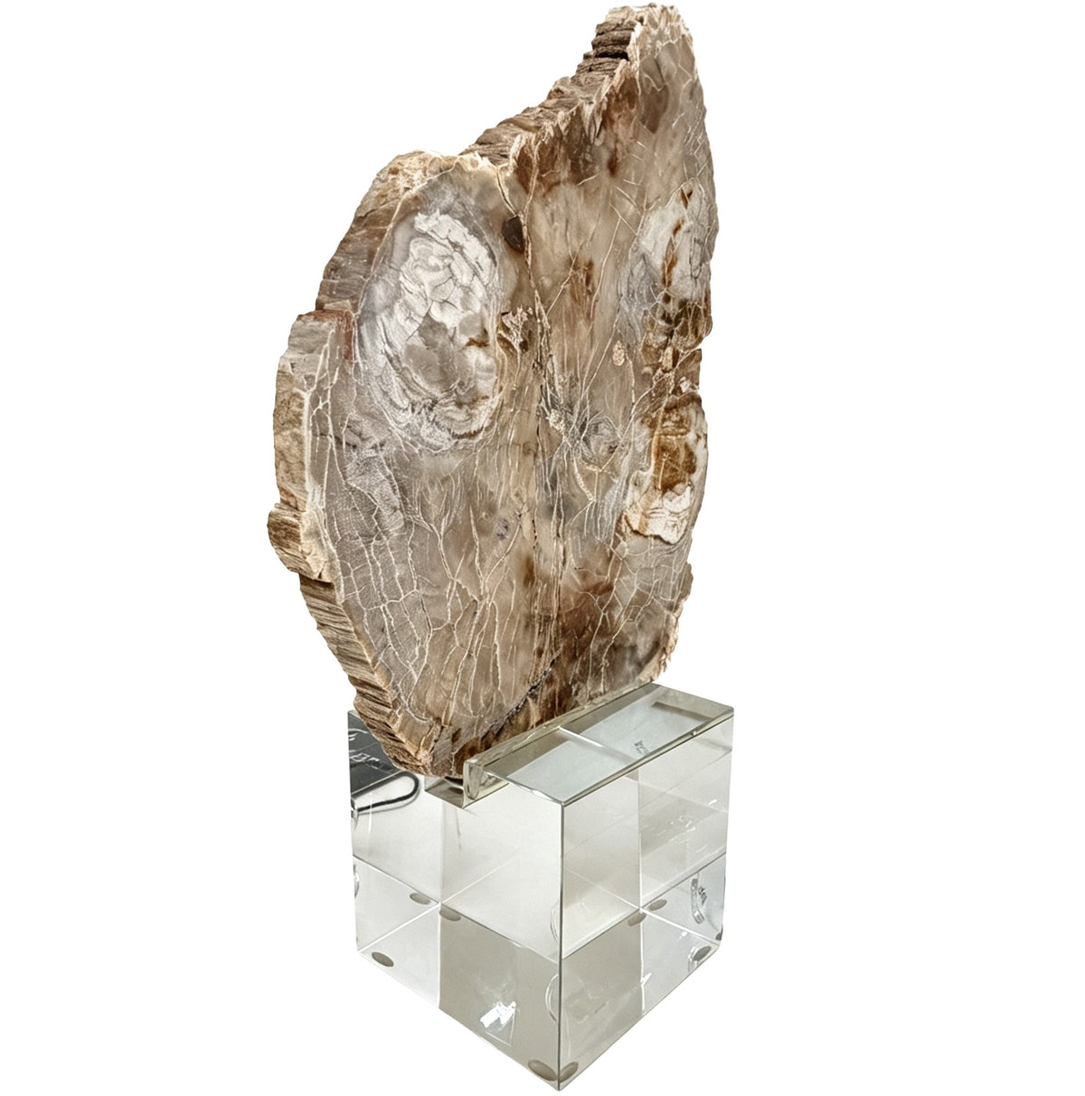 Bram Petrified Wood Sculpture - Small