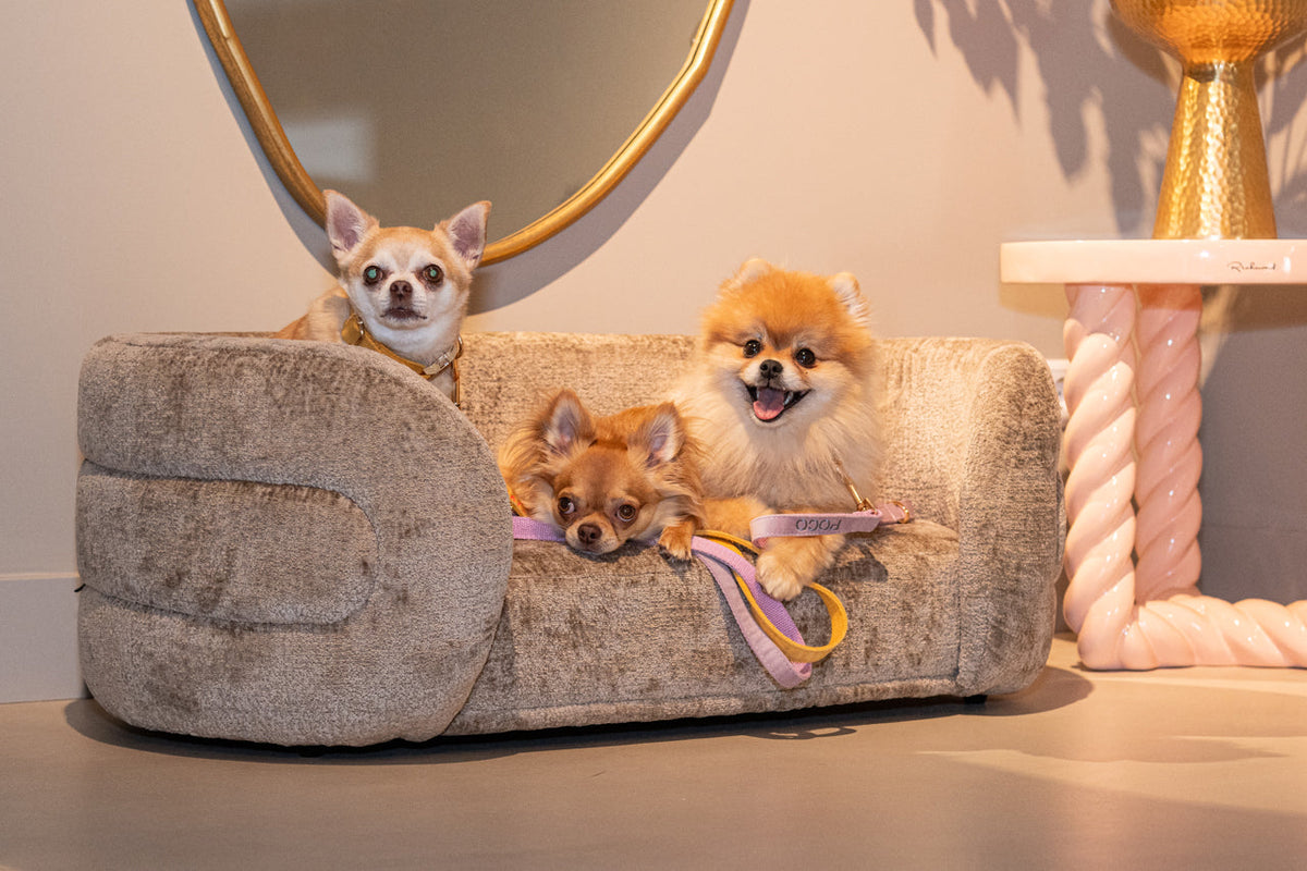 Pet bed Bingo taupe chenille