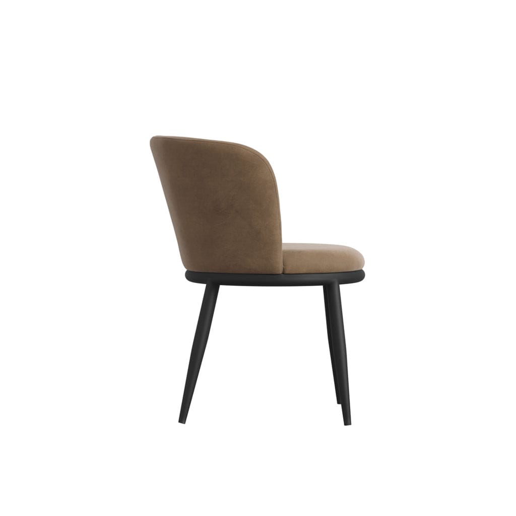 Fairmont Dining Nova Mole Dining Chair House of Isabella UK