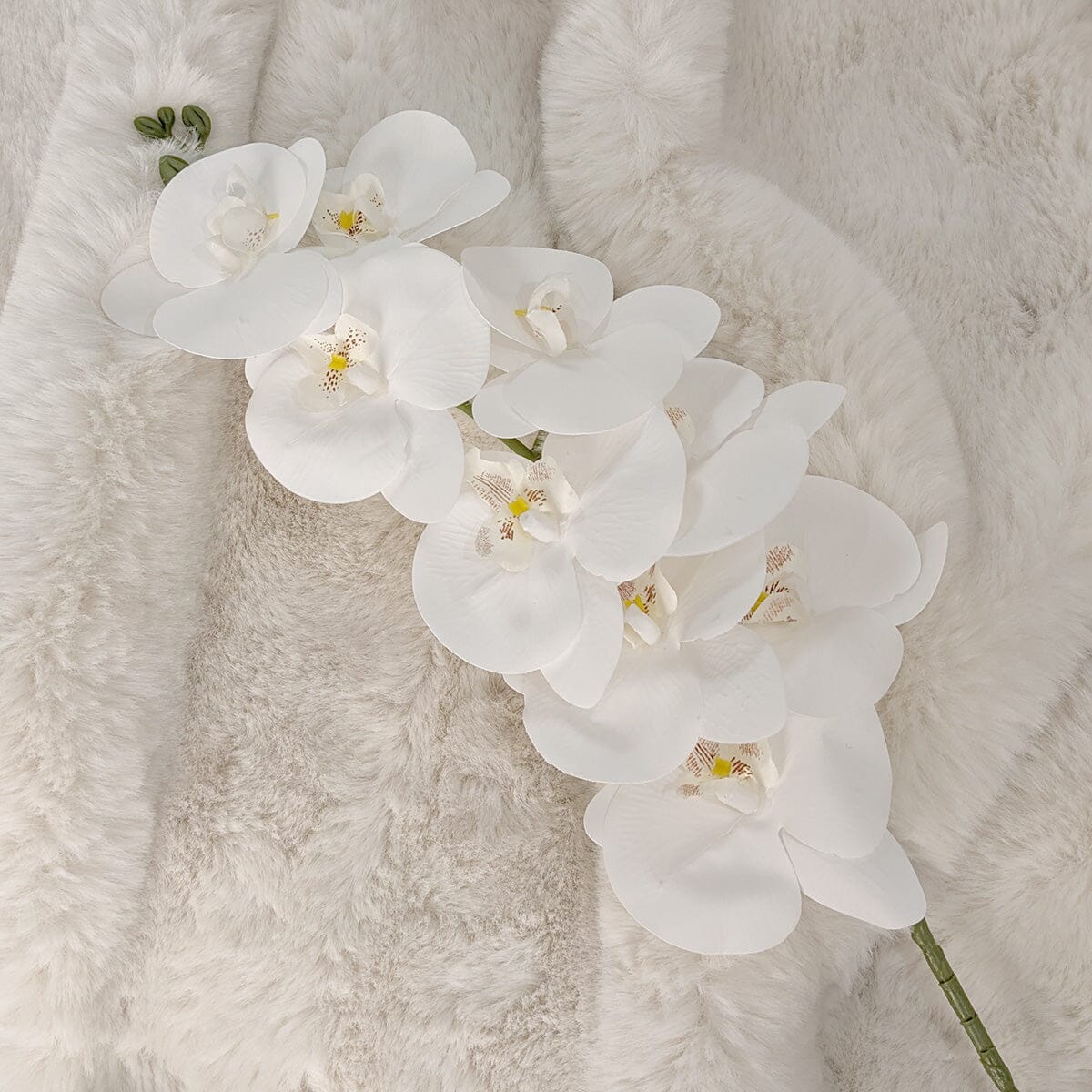 Faux White Orchid Single Stem Floral