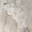 Faux White Orchid Single Stem Floral
