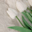 Faux White Tulips Bunch of 8 Flowers