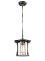 Franklite Lighting Alfresco Exterior Pendant - Brown House of Isabella UK