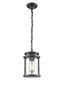 Franklite Lighting Alfresco Exterior Pendant - Dark Grey House of Isabella UK