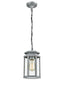 Franklite Lighting Alfresco Exterior Pendant - Grey House of Isabella UK