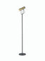 Franklite Lighting Modern Floor Reading Lamp House of Isabella UK