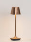 Franklite Lighting Wanderer Portable Table Lamp in Brushed Bronze House of Isabella UK