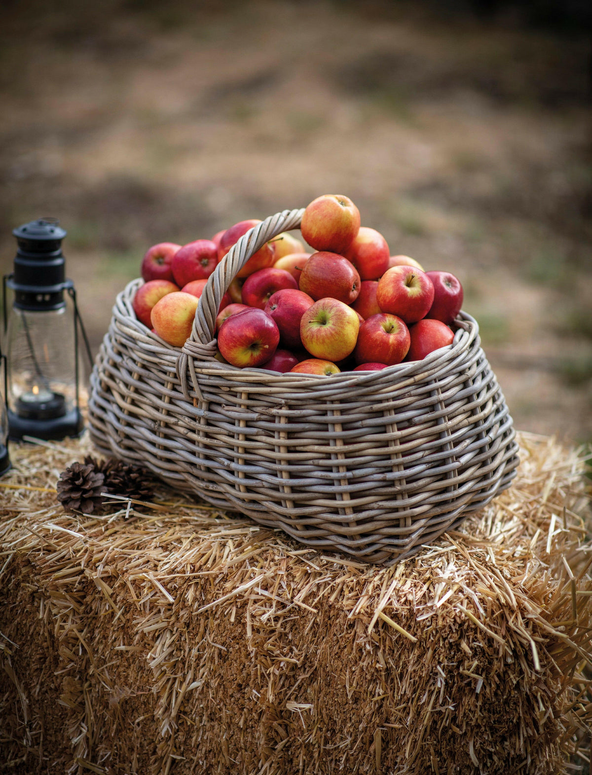 Bembridge Forage Basket.