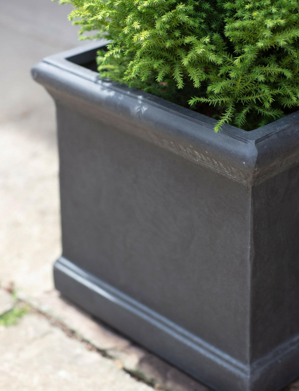 Set of 2 Boxgrove Planters.