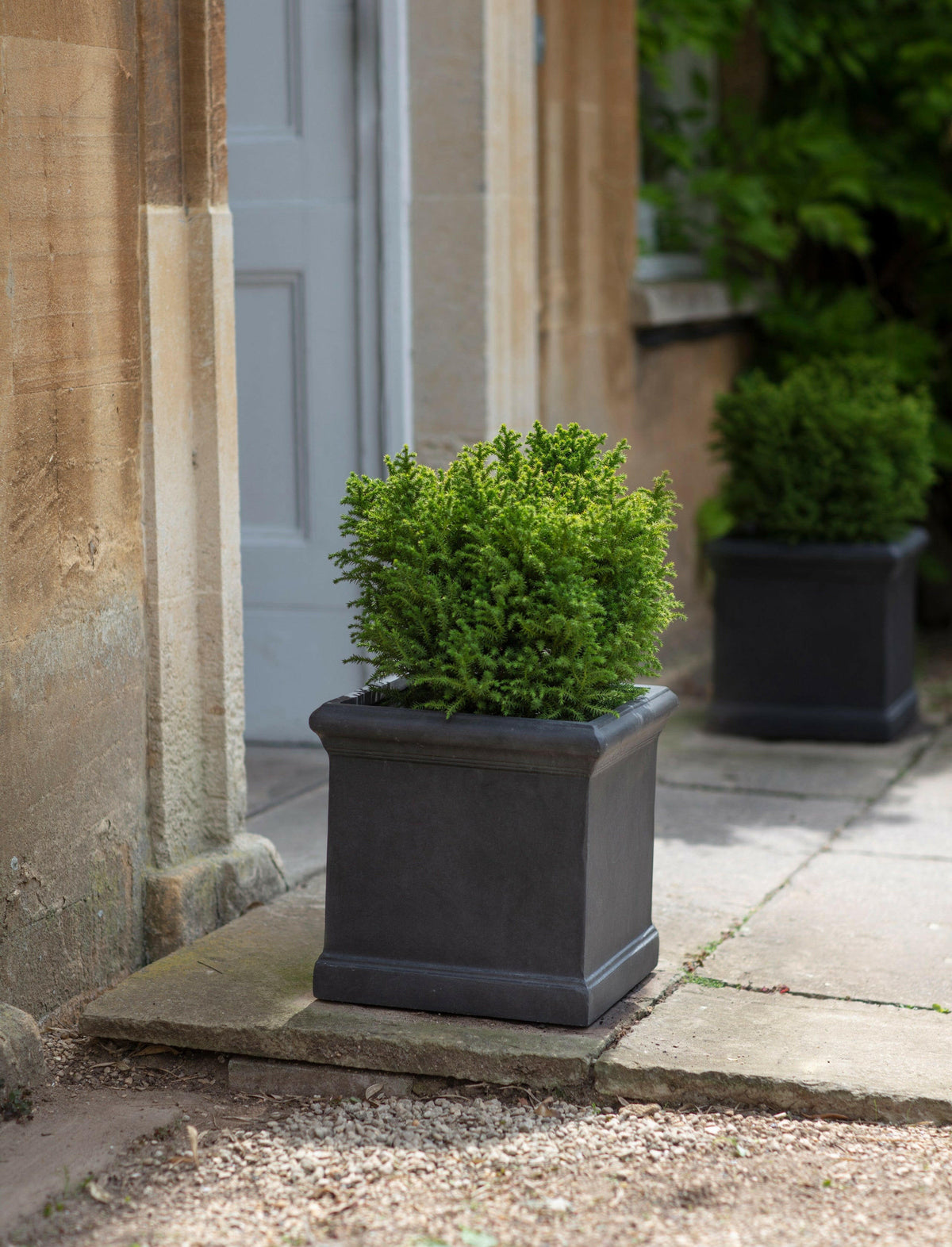 Set of 2 Boxgrove Planters.