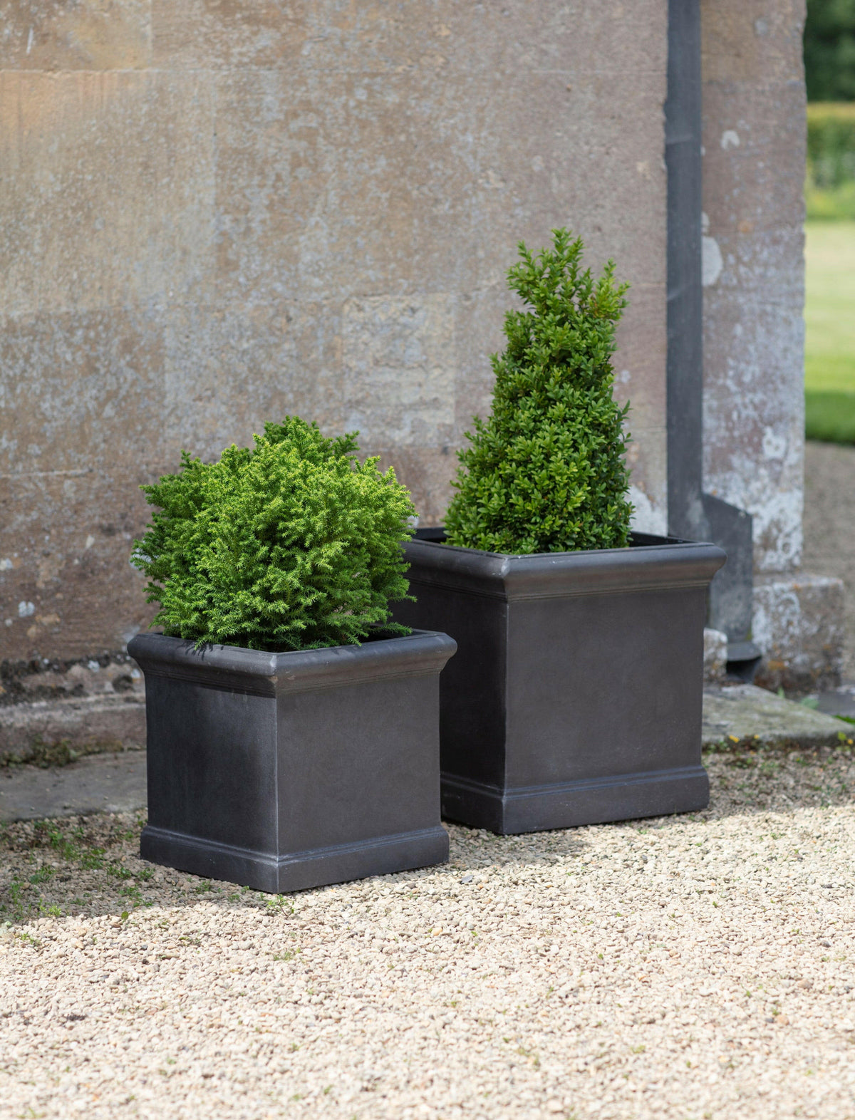 Set of 2 Boxgrove Planters.
