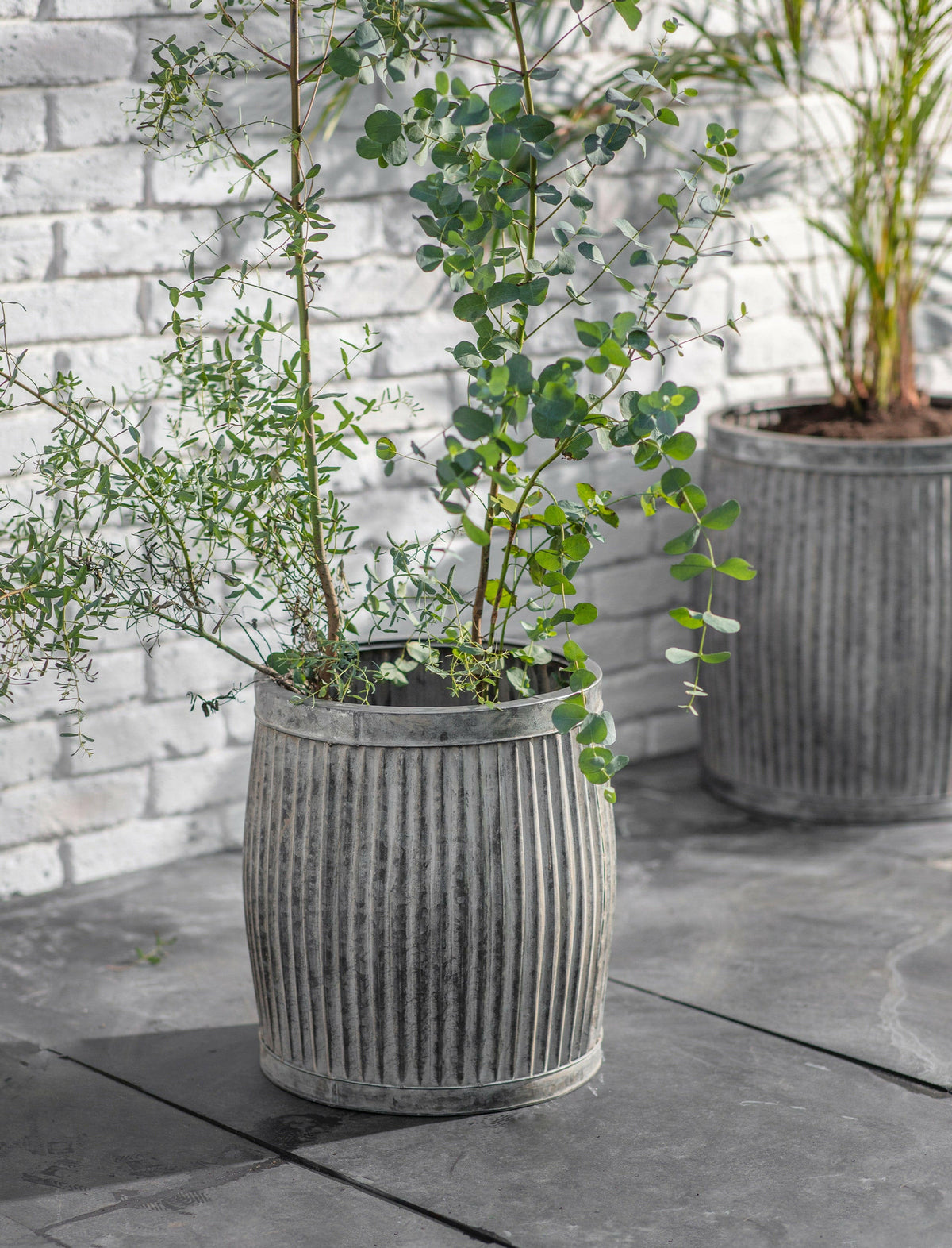 Set of 2 Tall Vence Planters.