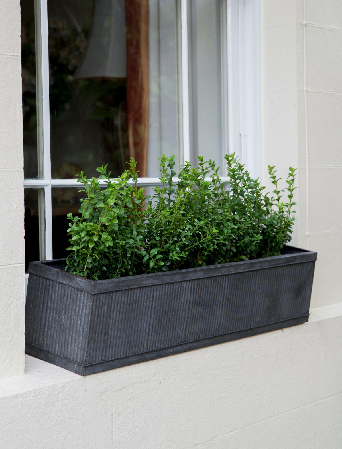 Vence Window Box - 90cm.