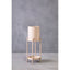 Hamilton Interiors Accessories Asher Two Tier Natural Plant Stand House of Isabella UK