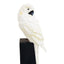 Hamilton Interiors Accessories Boho Set Of Two Parrot Bookends House of Isabella UK
