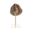 Hamilton Interiors Accessories Bowerbird Black And Gold Agate Sculpture House of Isabella UK