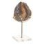 Hamilton Interiors Accessories Bowerbird Black And Gold Agate Sculpture House of Isabella UK