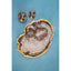 Hamilton Interiors Accessories Celina Black And Gold Agate Tray House of Isabella UK