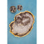 Hamilton Interiors Accessories Celina Black And Gold Agate Tray House of Isabella UK