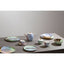 Hamilton Interiors Accessories Colour Of Paradise Bowl House of Isabella UK