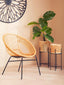 Hamilton Interiors Accessories Depok Large Rattan Planter with Metal Stand House of Isabella UK