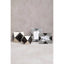 Hamilton Interiors Accessories Donato 4in x 6in Black and White Stripe Photo Frame House of Isabella UK