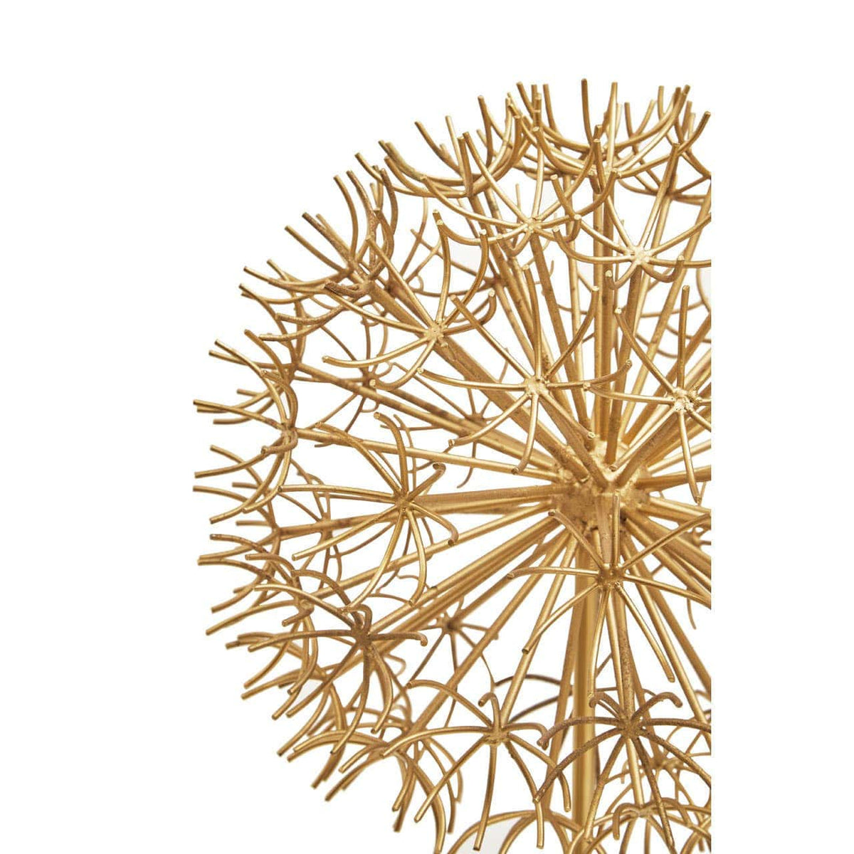 Hamilton Interiors Accessories Evra Gold Dandelion Sculpture On White Marble Base House of Isabella UK