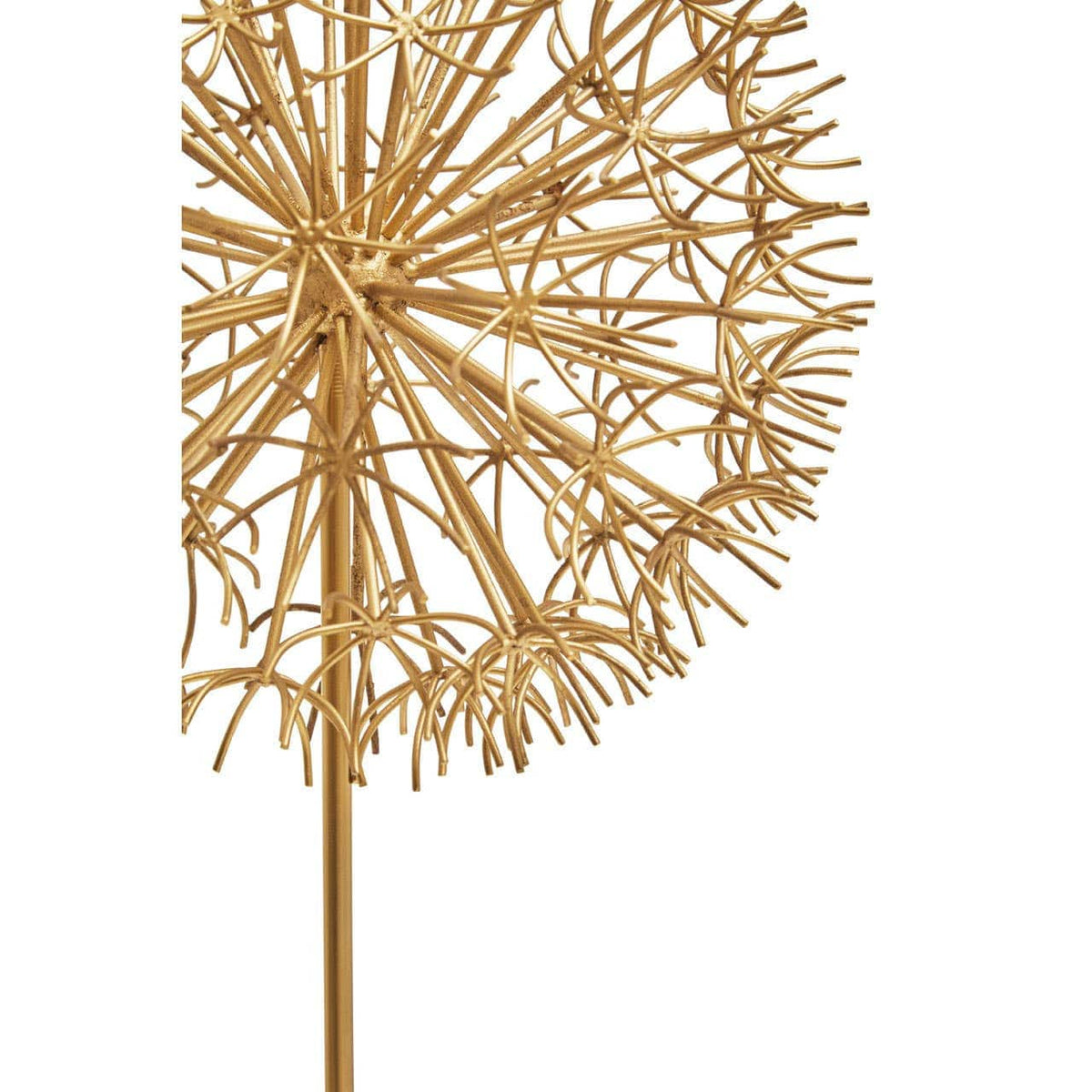 Hamilton Interiors Accessories Evra Gold Dandelion Sculpture On White Marble Base House of Isabella UK