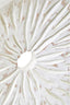 Hamilton Interiors Accessories Fidel Small Distressed White Mango Wood Sculpture House of Isabella UK