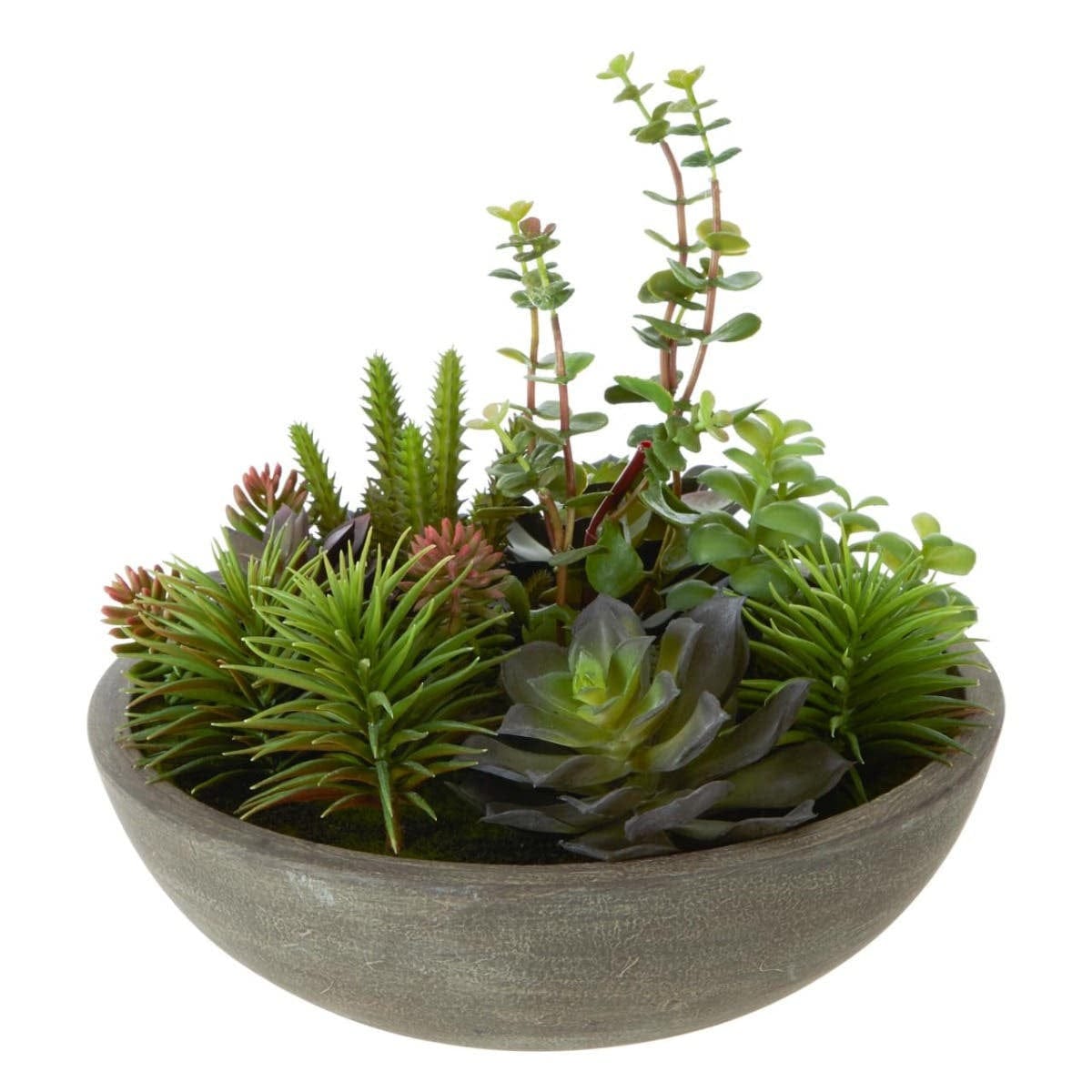 Hamilton Interiors Accessories Fiori Mixed Succulent In Stone Effect Pot House of Isabella UK
