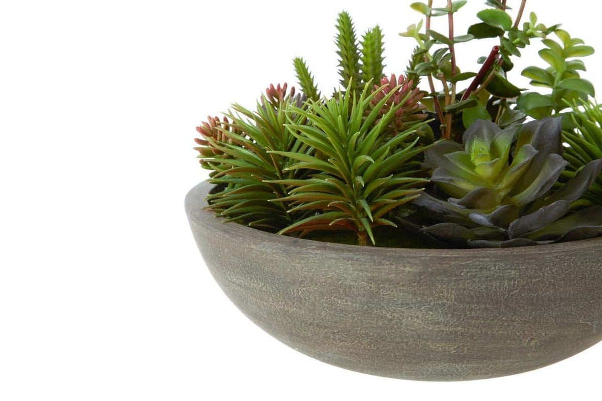 Hamilton Interiors Accessories Fiori Mixed Succulent In Stone Effect Pot House of Isabella UK
