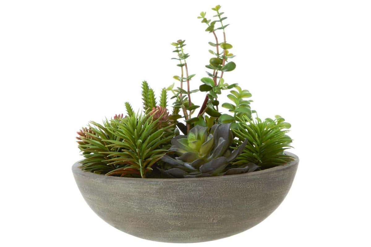 Hamilton Interiors Accessories Fiori Mixed Succulent In Stone Effect Pot House of Isabella UK